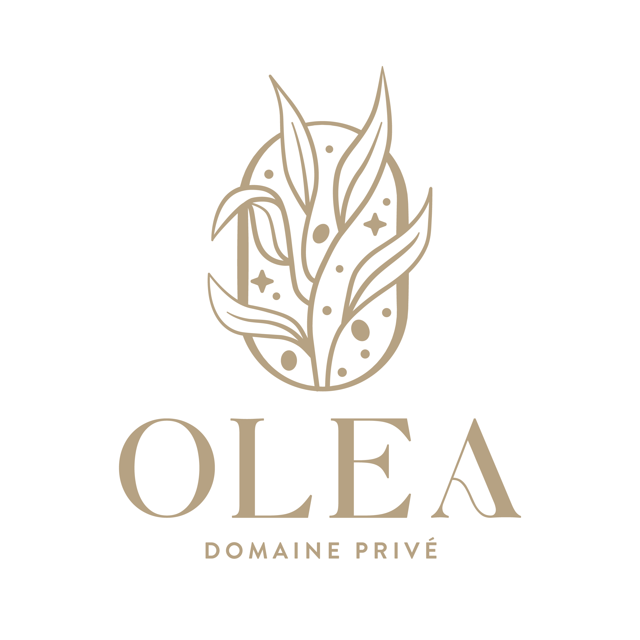 logo programme promoca